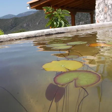 בית כפרי Stone *