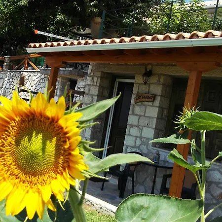 בית כפרי Stone