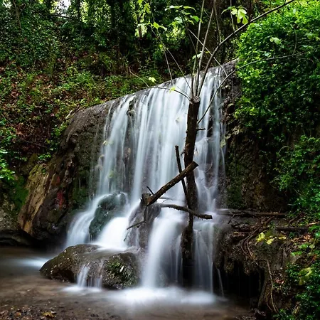 בית כפרי Stone *