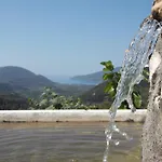 Stone
